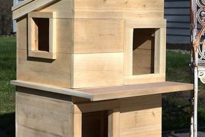 Build a Cozy DIY House for Stray Cats: Shelter Guide The DIY Hub: Creative Crafts, Repairs & Life Hacks Build a Cozy DIY House for Stray Cats: Shelter Guide | The DIY Hub: Creative Crafts, Repairs & Life Hacks