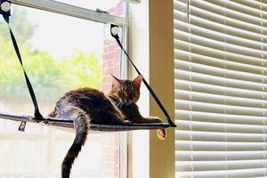 Easy DIY Cat Window Perch: Plans & More! The DIY Hub: Creative Crafts, Repairs & Life Hacks Easy DIY Cat Window Perch: Plans & More! | The DIY Hub: Creative Crafts, Repairs & Life Hacks