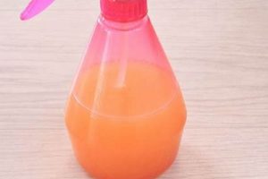 Stop Cats! DIY Cat Deterrent Methods & Tips The DIY Hub: Creative Crafts, Repairs & Life Hacks Stop Cats! DIY Cat Deterrent Methods & Tips | The DIY Hub: Creative Crafts, Repairs & Life Hacks