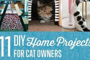 Purrfect DIY: clawsandfurfriends' Cat Project Ideas! The DIY Hub: Creative Crafts, Repairs & Life Hacks Purrfect DIY: clawsandfurfriends' Cat Project Ideas! | The DIY Hub: Creative Crafts, Repairs & Life Hacks