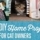 Purrfect DIY: clawsandfurfriends' Cat Project Ideas! | The DIY Hub: Creative Crafts, Repairs & Life Hacks