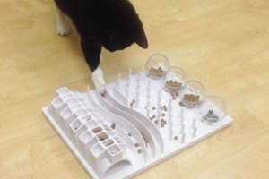 Easy DIY Cat Food Puzzle Toys: Fun & Enrichment! The DIY Hub: Creative Crafts, Repairs & Life Hacks Easy DIY Cat Food Puzzle Toys: Fun & Enrichment! | The DIY Hub: Creative Crafts, Repairs & Life Hacks