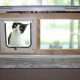 Easy DIY Cat Door Window: Your Feline's Freedom! | The DIY Hub: Creative Crafts, Repairs & Life Hacks