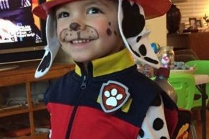 Easy DIY Paw Patrol Costume Ideas: Paw-some Fun! | The DIY Hub: Creative Crafts, Repairs & Life Hacks