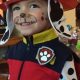 Easy DIY Paw Patrol Costume Ideas: Paw-some Fun! | The DIY Hub: Creative Crafts, Repairs & Life Hacks