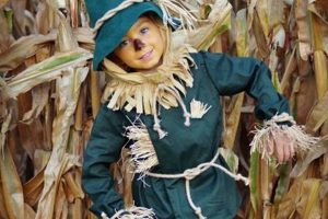 Easy DIY Scarecrow Costume: Wizard of Oz Fun! | The DIY Hub: Creative Crafts, Repairs & Life Hacks