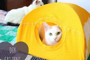 Easy DIY Cat Tent Ideas: Build a Purr-fect Home! The DIY Hub: Creative Crafts, Repairs & Life Hacks Easy DIY Cat Tent Ideas: Build a Purr-fect Home! | The DIY Hub: Creative Crafts, Repairs & Life Hacks