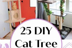 DIY Cat Tree Ideas: Build the Purr-fect Cat Tree The DIY Hub: Creative Crafts, Repairs & Life Hacks DIY Cat Tree Ideas: Build the Purr-fect Cat Tree | The DIY Hub: Creative Crafts, Repairs & Life Hacks