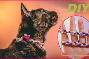 Purr-fect DIY Cat Collar: Easy & Safe Homemade Styles The DIY Hub: Creative Crafts, Repairs & Life Hacks Purr-fect DIY Cat Collar: Easy & Safe Homemade Styles | The DIY Hub: Creative Crafts, Repairs & Life Hacks