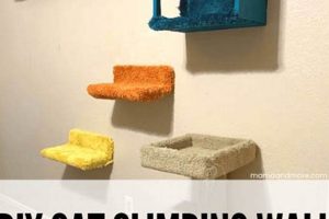 Build a DIY Cat Climbing Wall: Plans & Ideas for Kitty The DIY Hub: Creative Crafts, Repairs & Life Hacks Build a DIY Cat Climbing Wall: Plans & Ideas for Kitty | The DIY Hub: Creative Crafts, Repairs & Life Hacks