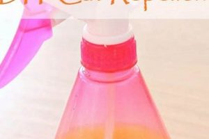 Easy & Effective Cat Deterrent DIY: Keep Cats Away! The DIY Hub: Creative Crafts, Repairs & Life Hacks Easy & Effective Cat Deterrent DIY: Keep Cats Away! | The DIY Hub: Creative Crafts, Repairs & Life Hacks