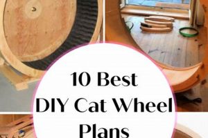 Build Your Own: DIY Cat Wheel for Active Cats! The DIY Hub: Creative Crafts, Repairs & Life Hacks Build Your Own: DIY Cat Wheel for Active Cats! | The DIY Hub: Creative Crafts, Repairs & Life Hacks