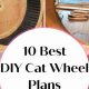 Build Your Own: DIY Cat Wheel for Active Cats! | The DIY Hub: Creative Crafts, Repairs & Life Hacks