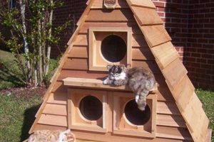 Build a Warm DIY Feral Cat House: Plans & Ideas The DIY Hub: Creative Crafts, Repairs & Life Hacks Build a Warm DIY Feral Cat House: Plans & Ideas | The DIY Hub: Creative Crafts, Repairs & Life Hacks
