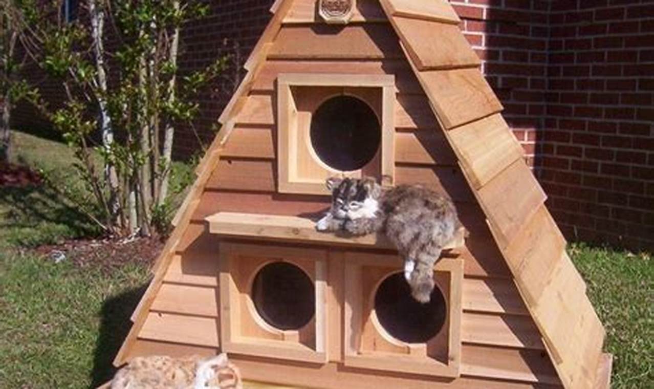 Build a Warm DIY Feral Cat House: Plans & Ideas