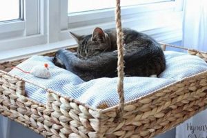 DIY Cat Bed Ideas: Build a Cozy Cat Bed Yourself The DIY Hub: Creative Crafts, Repairs & Life Hacks DIY Cat Bed Ideas: Build a Cozy Cat Bed Yourself | The DIY Hub: Creative Crafts, Repairs & Life Hacks