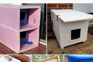 Build a Cozy: Weatherproof DIY Outdoor Cat House Project! The DIY Hub: Creative Crafts, Repairs & Life Hacks Build a Cozy: Weatherproof DIY Outdoor Cat House Project! | The DIY Hub: Creative Crafts, Repairs & Life Hacks