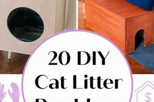 Best DIY Cat Litter Enclosure Ideas & Plans [Easy!] | The DIY Hub: Creative Crafts, Repairs & Life Hacks