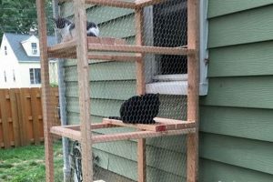 Build Your Own: Outdoor Cat Run DIY Project The DIY Hub: Creative Crafts, Repairs & Life Hacks Build Your Own: Outdoor Cat Run DIY Project | The DIY Hub: Creative Crafts, Repairs & Life Hacks