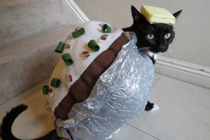 Purrfect DIY Costumes for Cats: Fun & Easy Ideas The DIY Hub: Creative Crafts, Repairs & Life Hacks Purrfect DIY Costumes for Cats: Fun & Easy Ideas | The DIY Hub: Creative Crafts, Repairs & Life Hacks
