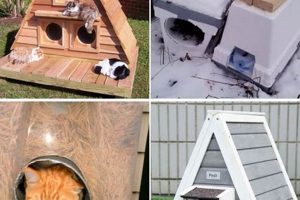 Build a DIY Cat House for Outdoors: Shelter & Safety The DIY Hub: Creative Crafts, Repairs & Life Hacks Build a DIY Cat House for Outdoors: Shelter & Safety | The DIY Hub: Creative Crafts, Repairs & Life Hacks