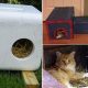 Build a Cozy DIY Heated Cat House: Shelter & Warmth | The DIY Hub: Creative Crafts, Repairs & Life Hacks