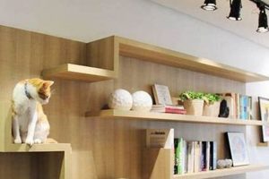 DIY Cat Wall Shelves: Build a Climbing Paradise! The DIY Hub: Creative Crafts, Repairs & Life Hacks DIY Cat Wall Shelves: Build a Climbing Paradise! | The DIY Hub: Creative Crafts, Repairs & Life Hacks