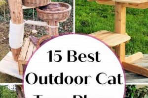 Build a Safe DIY Outdoor Cat Tree Paradise The DIY Hub: Creative Crafts, Repairs & Life Hacks Build a Safe DIY Outdoor Cat Tree Paradise | The DIY Hub: Creative Crafts, Repairs & Life Hacks