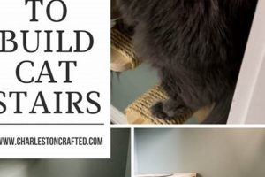 Build Your Cat Steps: DIY Project Ideas for Happy Cats The DIY Hub: Creative Crafts, Repairs & Life Hacks Build Your Cat Steps: DIY Project Ideas for Happy Cats | The DIY Hub: Creative Crafts, Repairs & Life Hacks