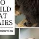 Build Your Cat Steps: DIY Project Ideas for Happy Cats | The DIY Hub: Creative Crafts, Repairs & Life Hacks