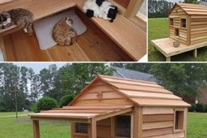 DIY Heated Cat House: Easy Warm Shelters for Cats The DIY Hub: Creative Crafts, Repairs & Life Hacks DIY Heated Cat House: Easy Warm Shelters for Cats | The DIY Hub: Creative Crafts, Repairs & Life Hacks
