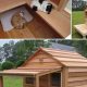 DIY Heated Cat House: Easy Warm Shelters for Cats | The DIY Hub: Creative Crafts, Repairs & Life Hacks