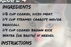 Best DIY Cat Food Recipe: Homemade & Healthy The DIY Hub: Creative Crafts, Repairs & Life Hacks Best DIY Cat Food Recipe: Homemade & Healthy | The DIY Hub: Creative Crafts, Repairs & Life Hacks