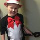 Easy DIY Cat in the Hat Costume: A Seuss-tastic Guide | The DIY Hub: Creative Crafts, Repairs & Life Hacks