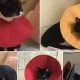 DIY E-Collar: Make a Comfy Cone for Cat [Guide] | The DIY Hub: Creative Crafts, Repairs & Life Hacks