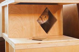 Build a Comfy DIY Cat House for Your Furry Friend! The DIY Hub: Creative Crafts, Repairs & Life Hacks Build a Comfy DIY Cat House for Your Furry Friend! | The DIY Hub: Creative Crafts, Repairs & Life Hacks