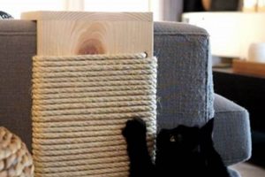 Easy DIY Cat Scratching Board: Build It Yourself! The DIY Hub: Creative Crafts, Repairs & Life Hacks Easy DIY Cat Scratching Board: Build It Yourself! | The DIY Hub: Creative Crafts, Repairs & Life Hacks