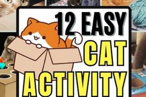 DIY Cat Enrichment: Easy & Fun Ideas For Cats | The DIY Hub: Creative Crafts, Repairs & Life Hacks