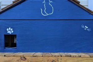 Build a DIY Outdoor Cat Shelter Today! (Easy Guide) | The DIY Hub: Creative Crafts, Repairs & Life Hacks