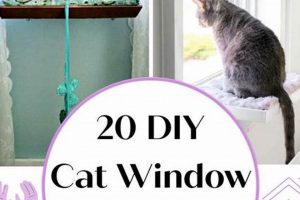 DIY Window Cat Perch: Build a View for Your Cat! The DIY Hub: Creative Crafts, Repairs & Life Hacks DIY Window Cat Perch: Build a View for Your Cat! | The DIY Hub: Creative Crafts, Repairs & Life Hacks