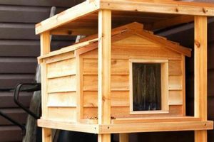 Build a Safe DIY Feral Cat Shelter: Plans & Ideas | The DIY Hub: Creative Crafts, Repairs & Life Hacks