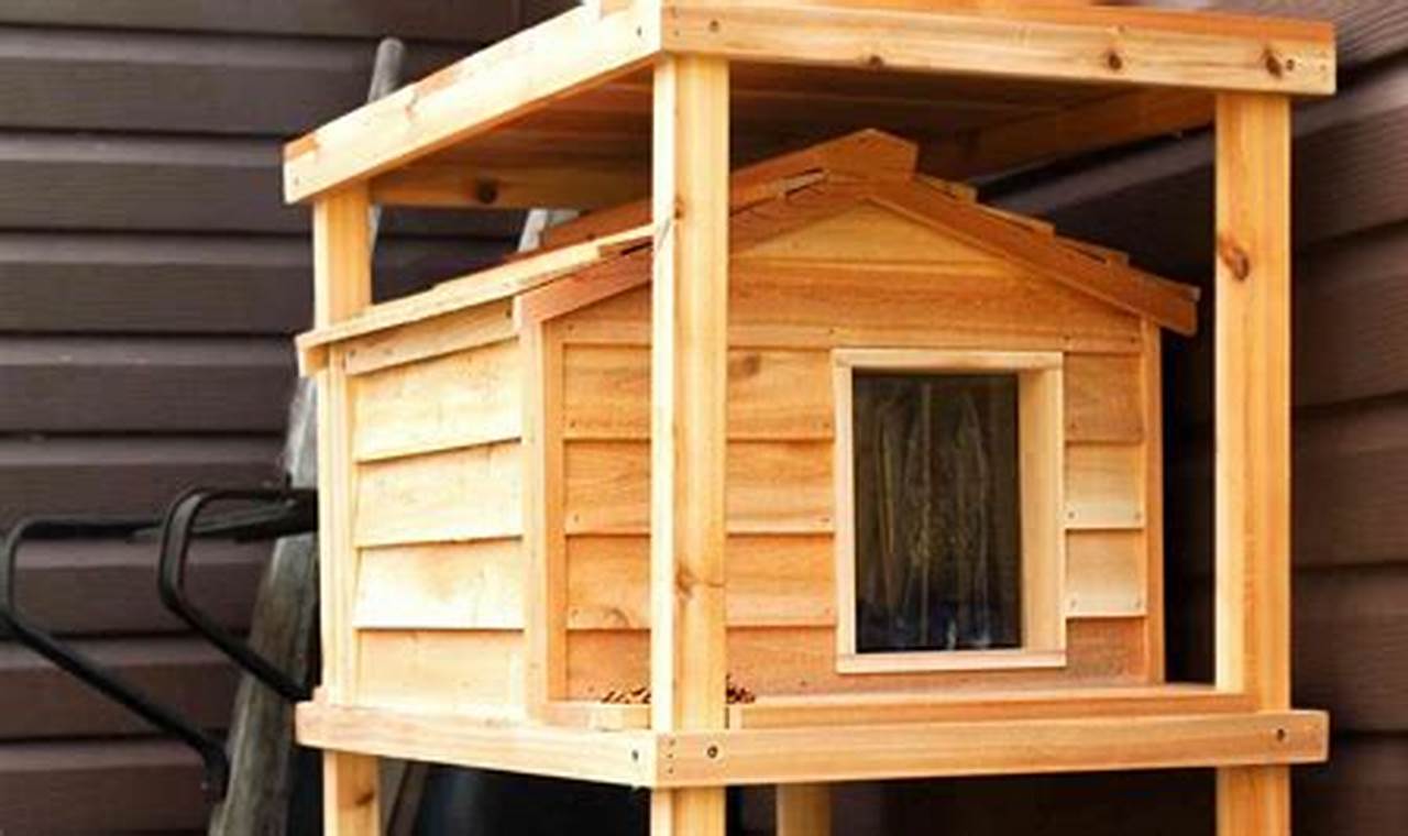 Build a Safe DIY Feral Cat Shelter: Plans & Ideas