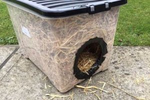 Build a Feral Cat Shelter DIY: Easy Steps & Plans The DIY Hub: Creative Crafts, Repairs & Life Hacks Build a Feral Cat Shelter DIY: Easy Steps & Plans | The DIY Hub: Creative Crafts, Repairs & Life Hacks