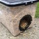Build a Feral Cat Shelter DIY: Easy Steps & Plans | The DIY Hub: Creative Crafts, Repairs & Life Hacks