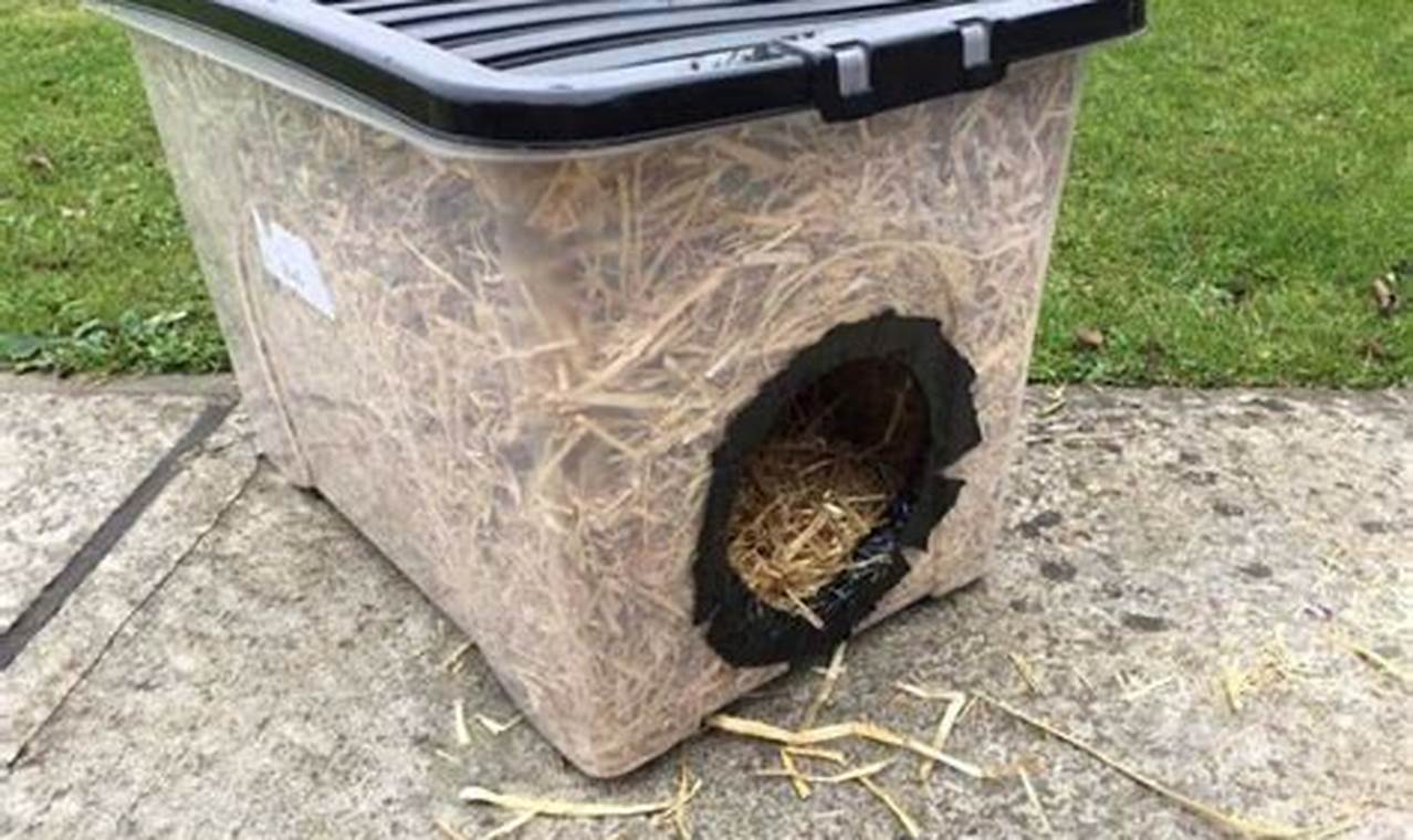 Build a Feral Cat Shelter DIY: Easy Steps & Plans