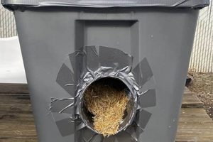 Build a Cozy DIY Cat Shelters for Winter: Easy Guide! | The DIY Hub: Creative Crafts, Repairs & Life Hacks