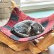 Easy DIY Cat Hammock Project: Build Your Own! | The DIY Hub: Creative Crafts, Repairs & Life Hacks