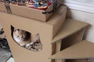 Build a Better DIY Cat Tree: Cardboard Creations for Cats The DIY Hub: Creative Crafts, Repairs & Life Hacks Build a Better DIY Cat Tree: Cardboard Creations for Cats | The DIY Hub: Creative Crafts, Repairs & Life Hacks