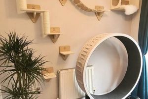 Build a Purr-fect DIY Cat Wall Playground at Home! | The DIY Hub: Creative Crafts, Repairs & Life Hacks