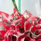 Easy Fabric Christmas Ornaments DIY: Sew Festive Decor! | The DIY Hub: Creative Crafts, Repairs & Life Hacks